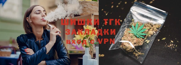 мдпв Бородино
