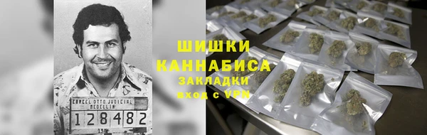 мдпв Бронницы
