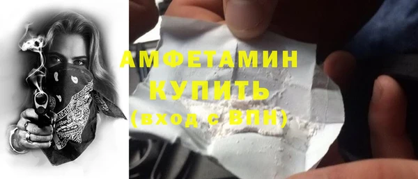 мдпв Бородино