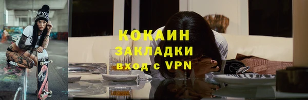мдпв Бородино
