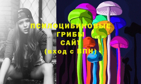 мдпв Бородино