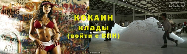 мдпв Бородино