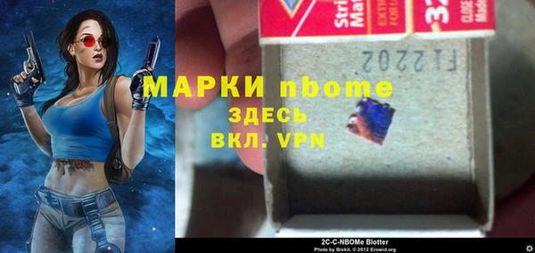 мдпв Бородино