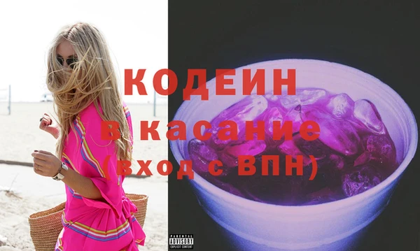 мдпв Бородино