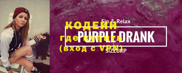 мдпв Бородино