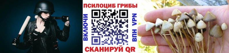 Галлюциногенные грибы прущие грибы  Комсомольск 